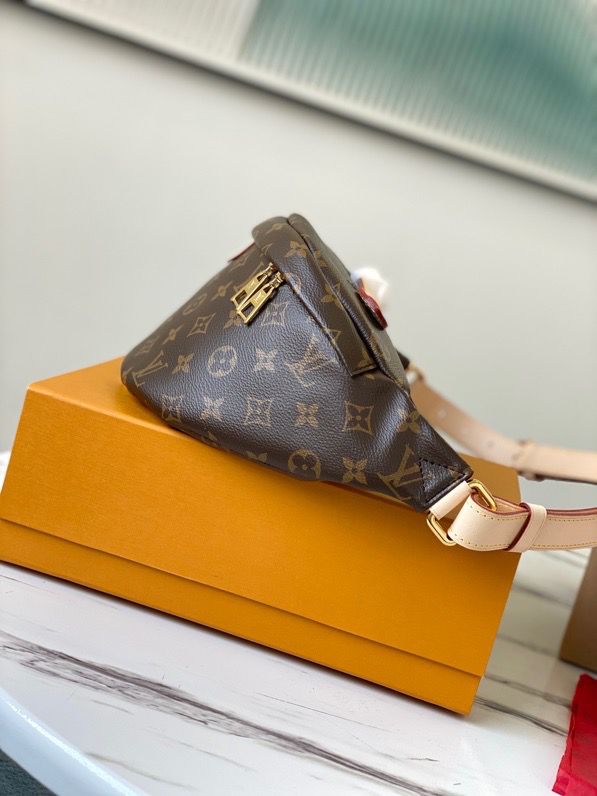 Top Quality Bumbag 37cm Monogram Canvas Spring/Summer Collection, Brown