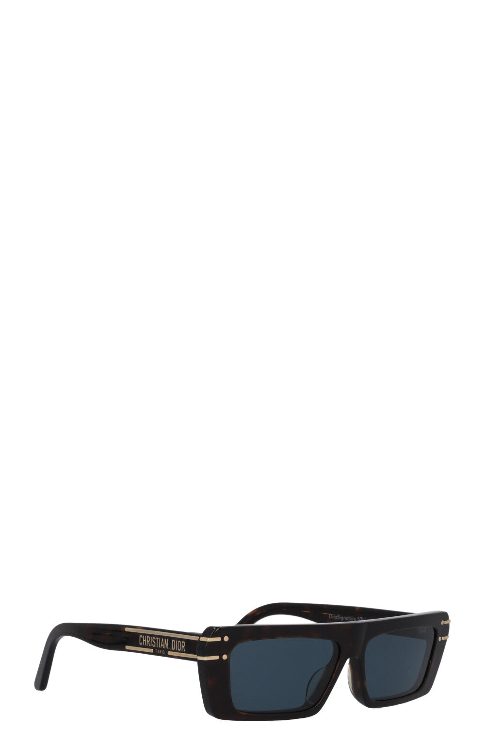 CHRISTIAN DIOR DiorSignature S2U Sunglasses