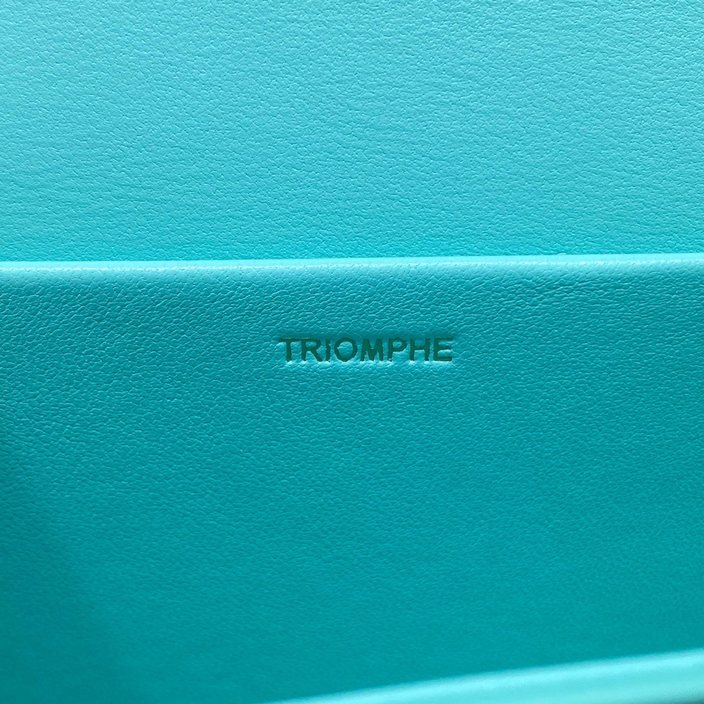 Top Quality Triomphe Shoulder Bag Mint Green For Women 8in/20cm