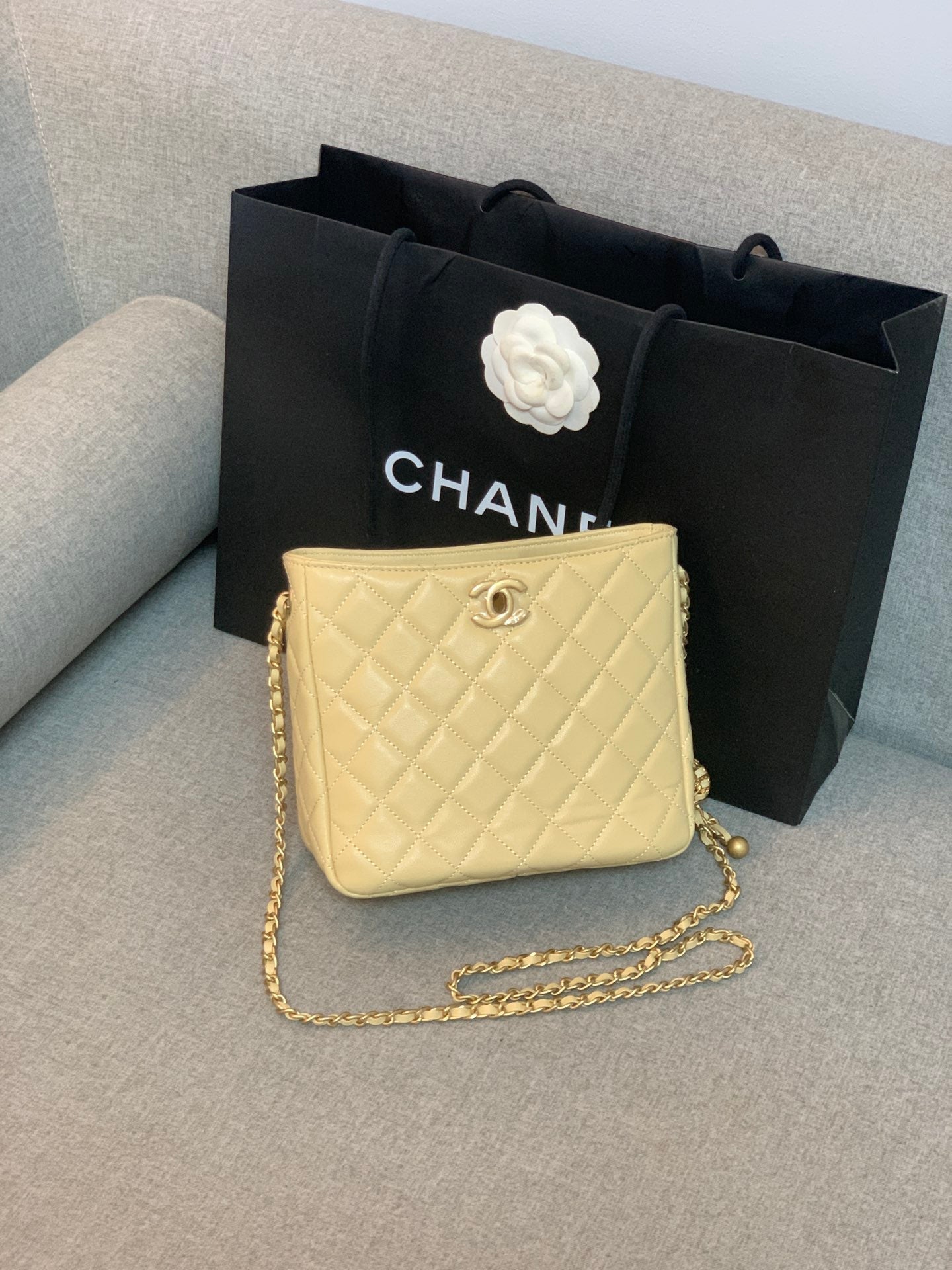 CHLHobo Handbag Beige Bag For Women 16cm/6in