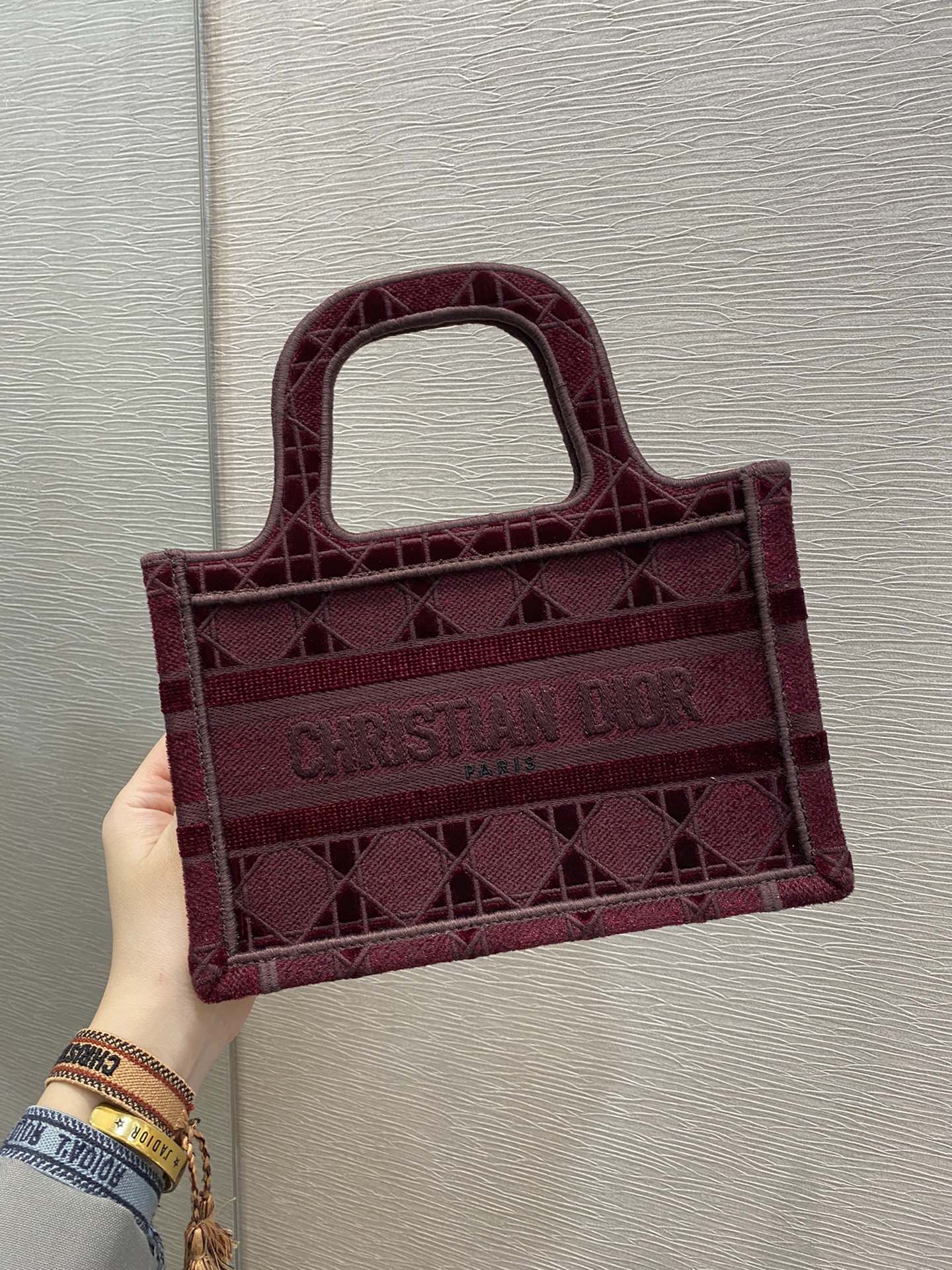 Top Quality Mini Tote Book Oblique Red Canvas For Women 23cm/9in CD