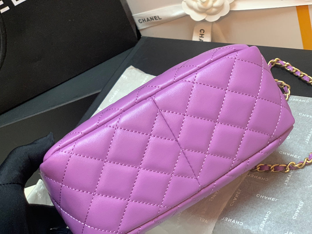 CHLHobo Handbag Purple Bag For Women 16cm/6in