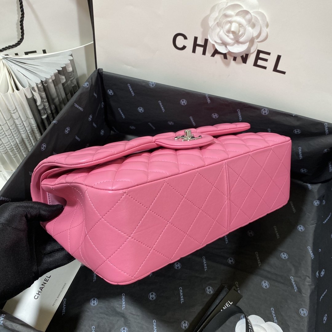 CHLLarge Classic Handbag Silver Hardware PiNike For Women Handbags, Shoulder Bags 11.8in/30cm
