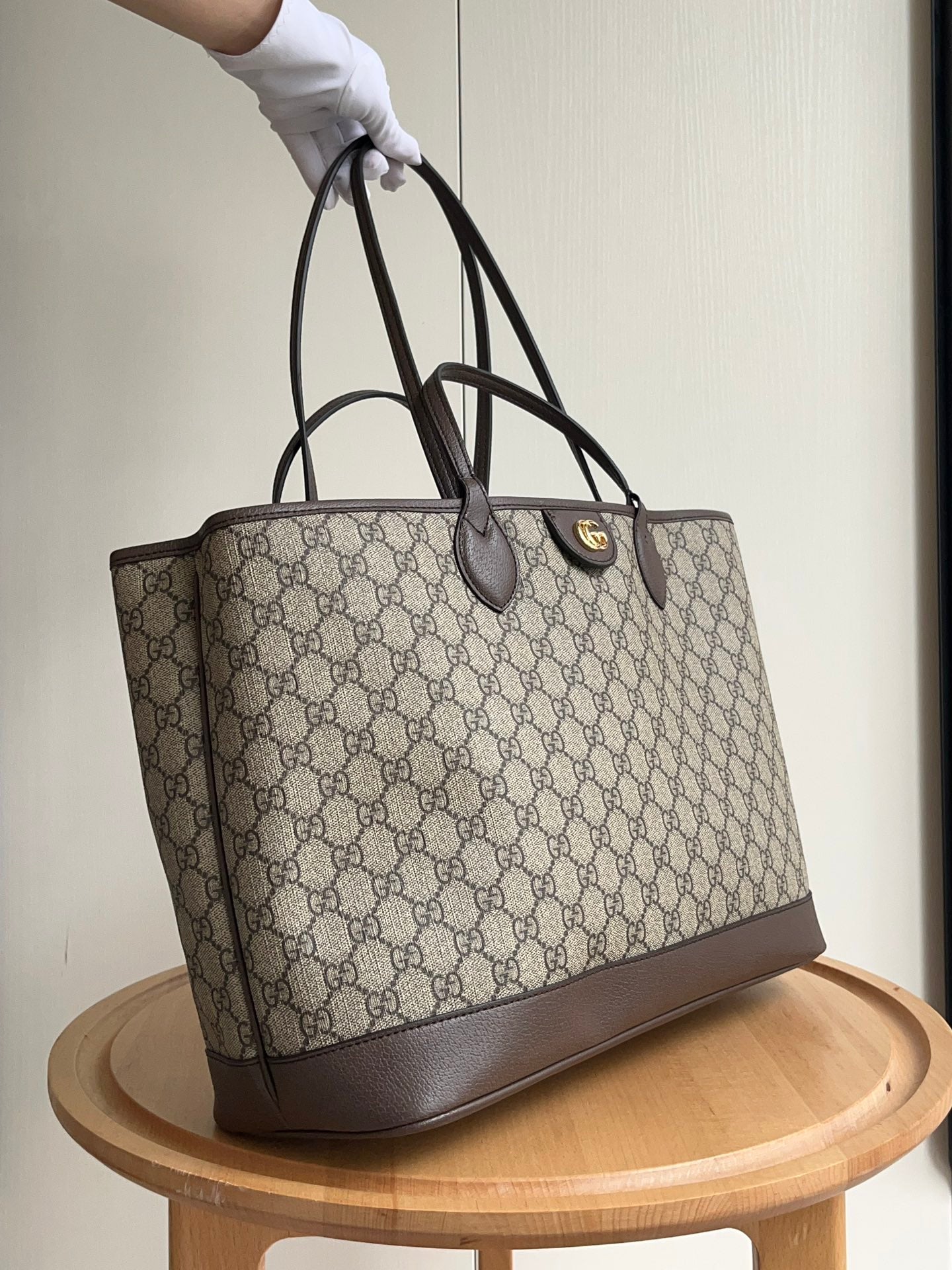 EN - Luxury Bags GCI 580