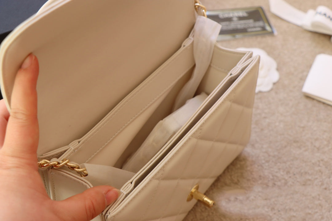 EN - New 1:1 rep  Top Quality CHL Bag 313