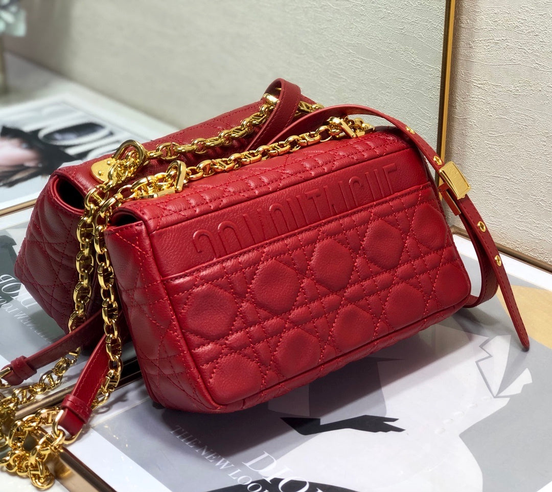 Top Quality Small Caro Bag Red For Women, Womens Handbags, Shoulder Bags, Crossbody Bags 20cm/8in CD