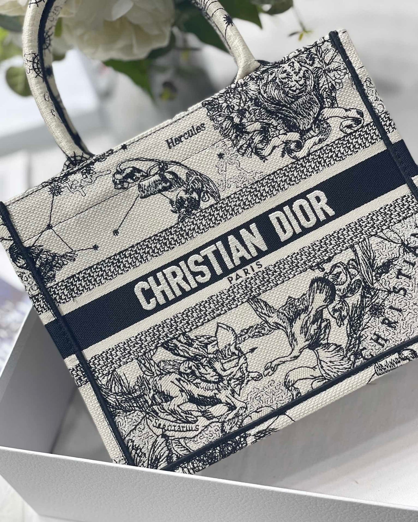 Top Quality Small Book Tote White, For Women, Womens Handbags 26.5cm/10.5in CD M1265ZRHZ_M941