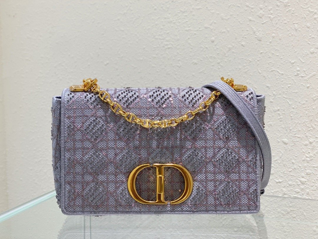 Top Quality MeTop Qualityum Caro Bag Gray, For Women, Womens Handbags 27.5cm/10.8in CD