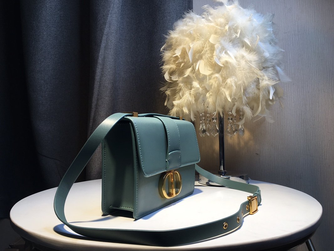 EN - New 1:1 rep  Bags DIR 239