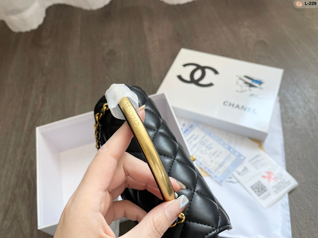 EN - New 1:1 rep  Top Quality CHL Bag 324