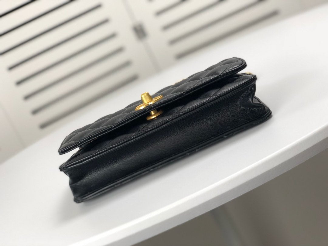 EN - New 1:1 rep  Top Quality CHL Bag 221
