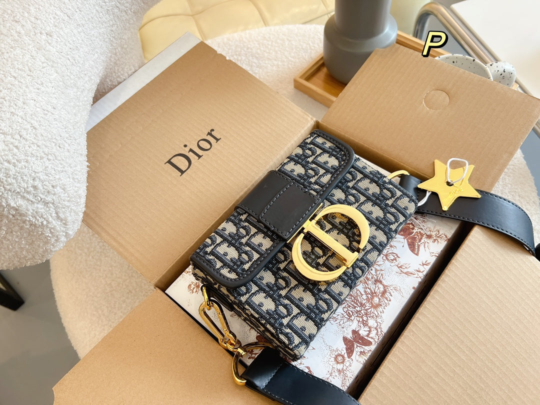 EN - New 1:1 rep Lux Bags DIR 344