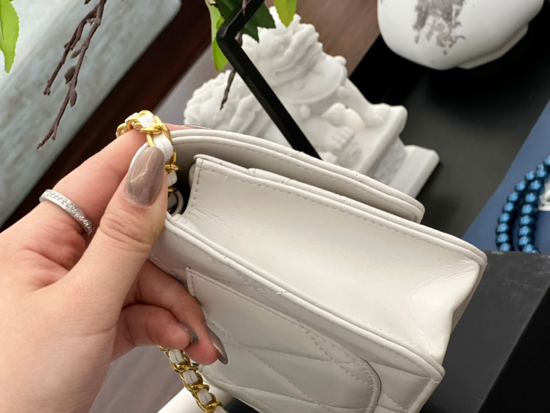 EN - New 1:1 rep  Top Quality CHL Bag 334