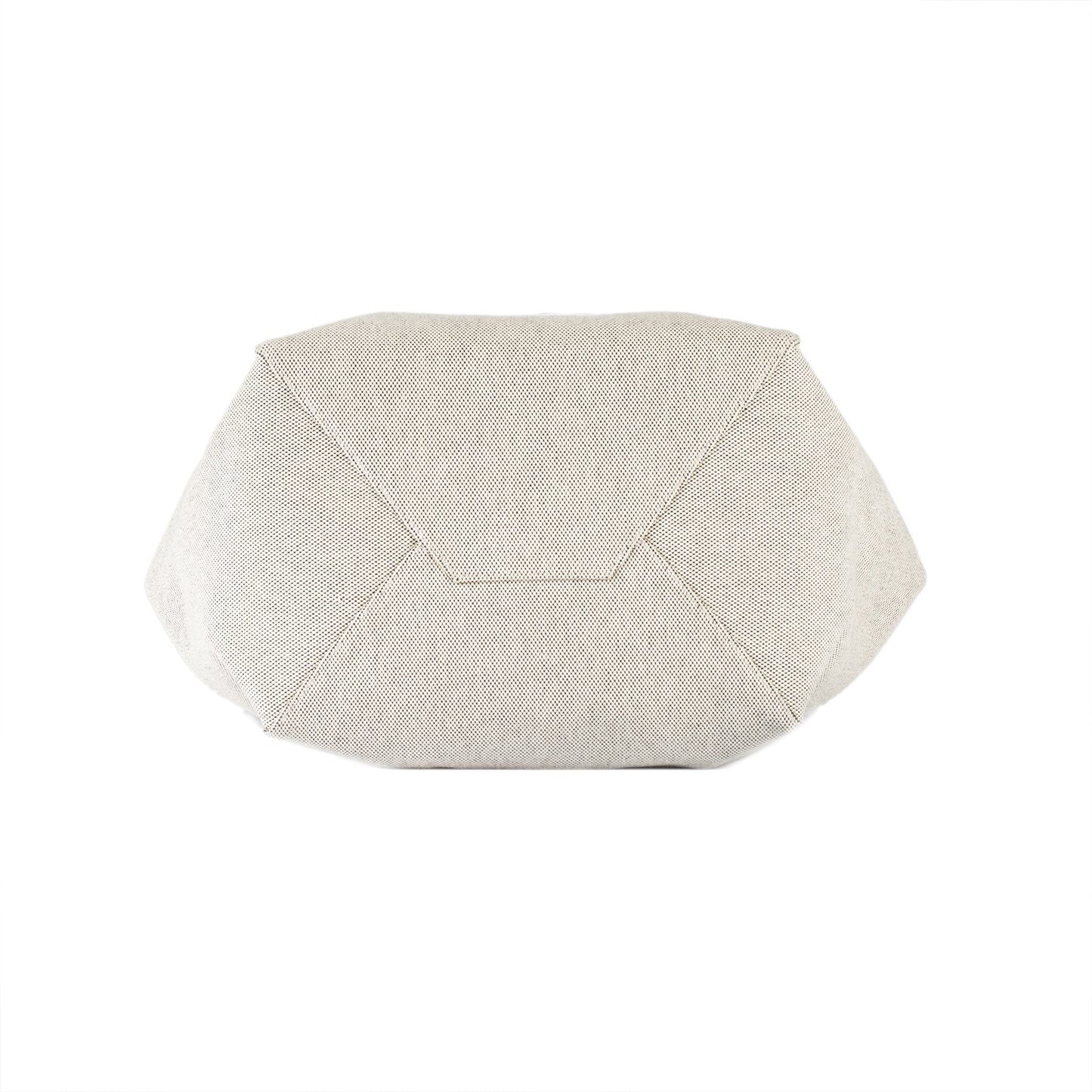 Celine Canvas Phantom Cabas Tote