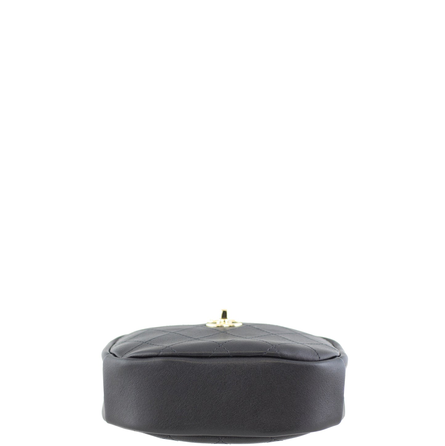 Chanel Classic Camera Case