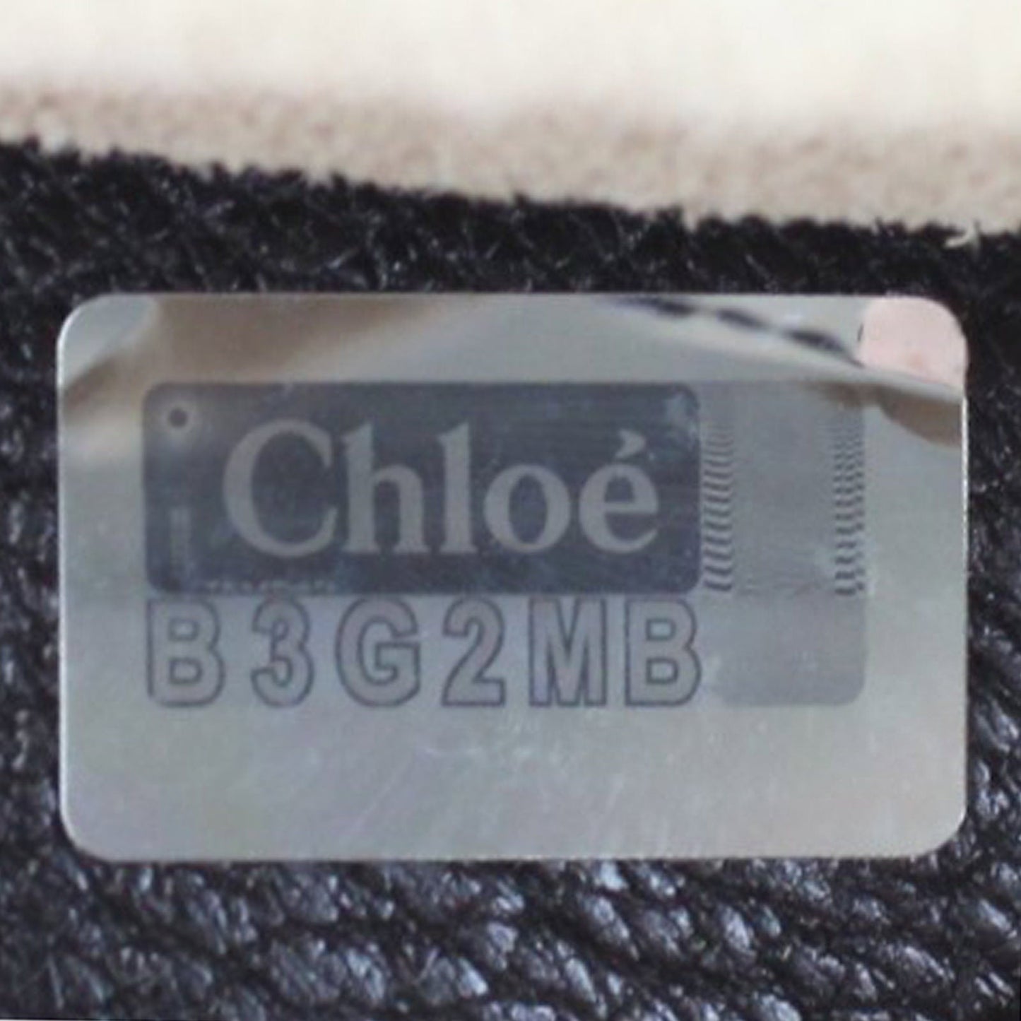Chloé Drew Small