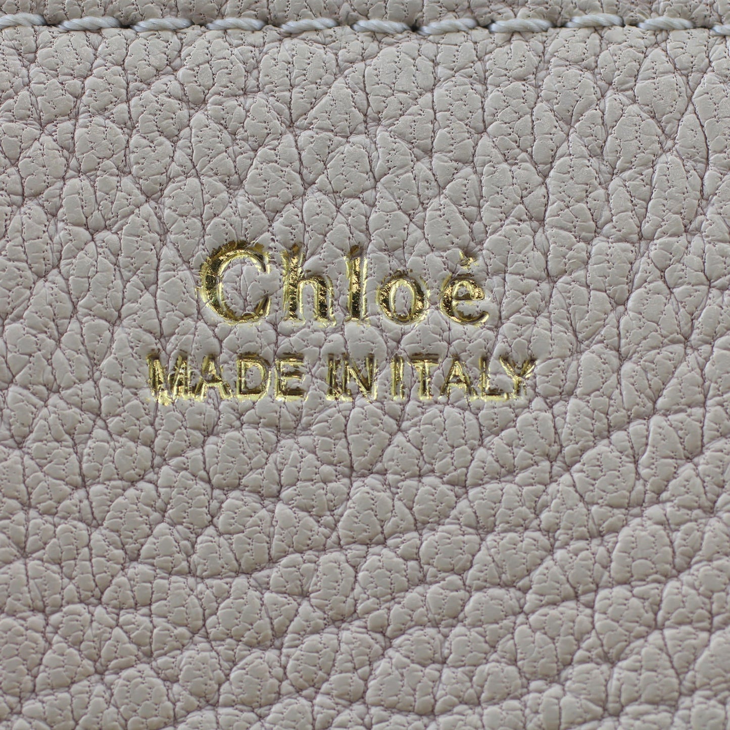 Chloé Drew Mini