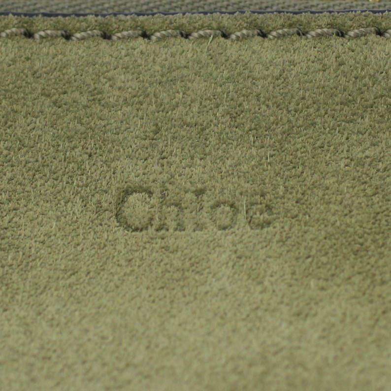 Chloe Hayley Hobo