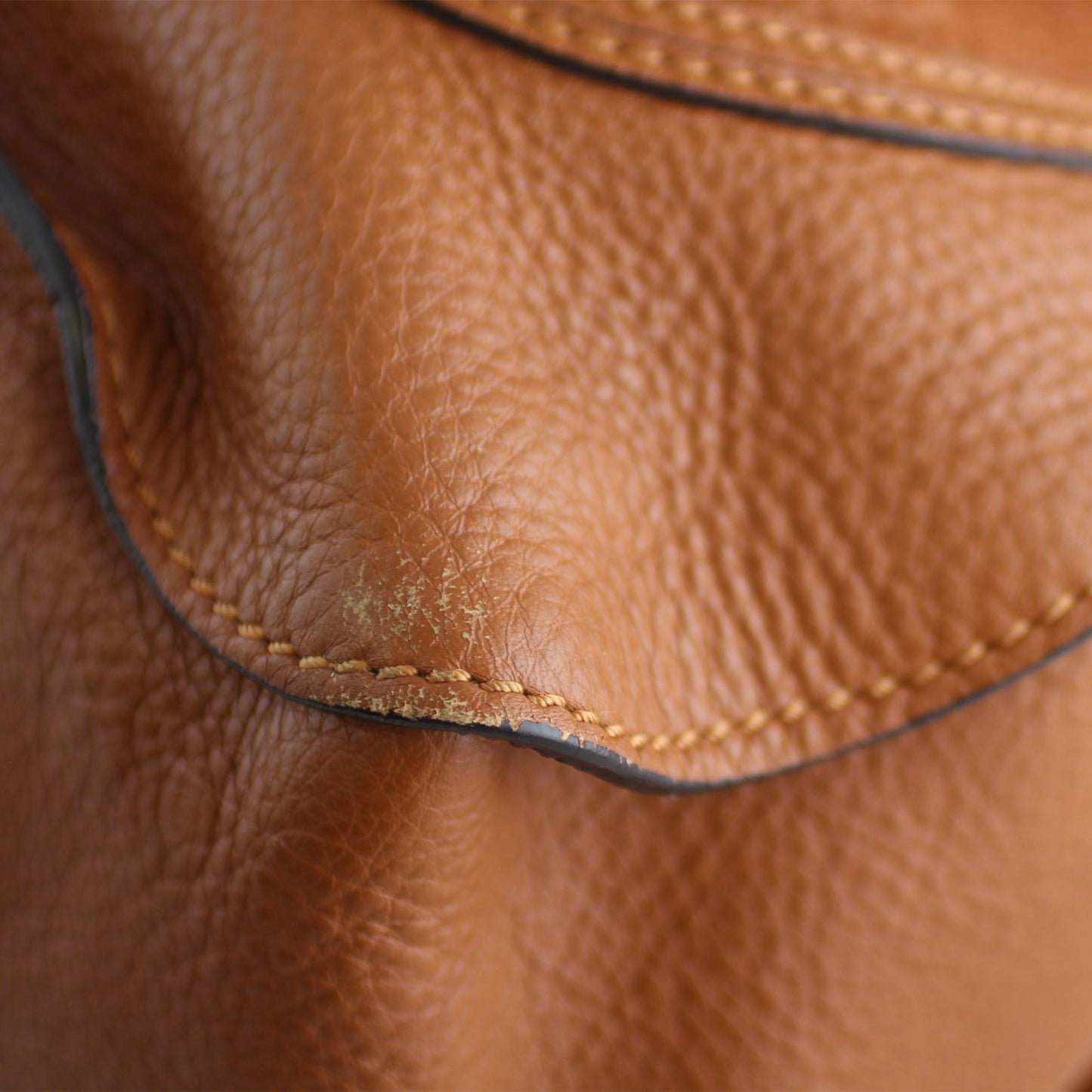 Chloe Marcie Medium Satchel