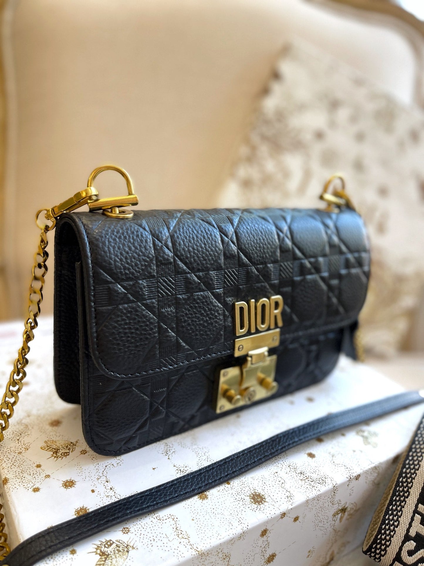 EN - New 1:1 rep Lux Bags DIR 347