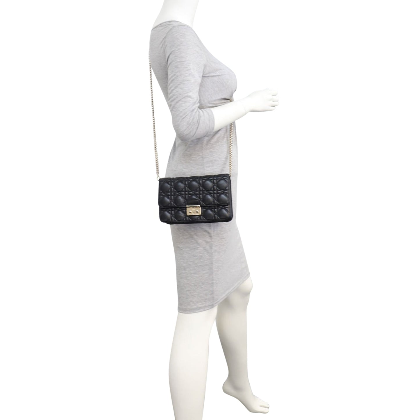 Dior Miss Dior Promenade Pouch