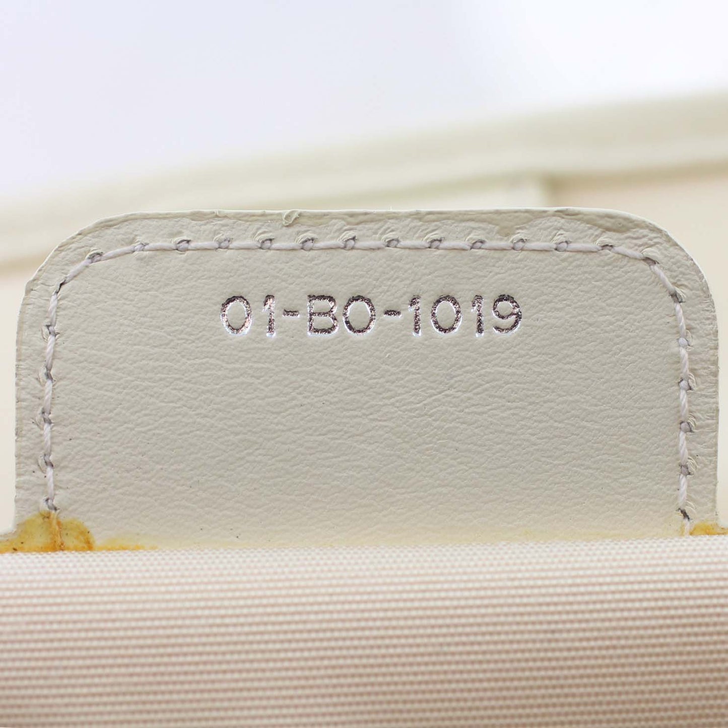 Dior Panarea Tote