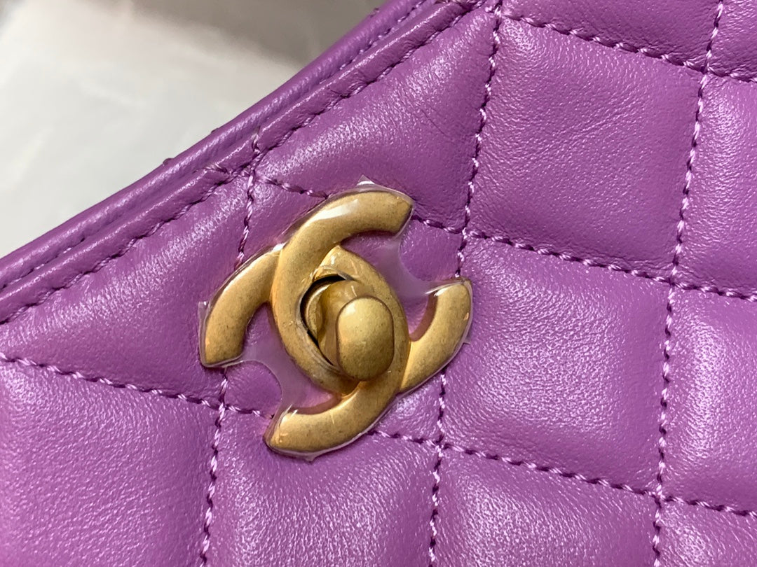CHLHobo Handbag Purple Bag For Women 16cm/6in
