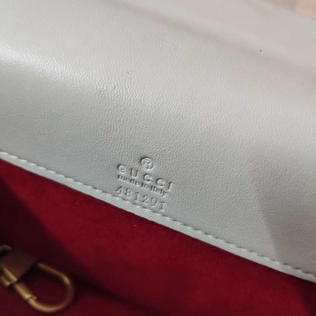 EN - New 1:1 rep Bag GCI 495