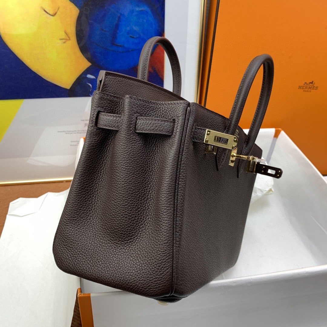 Top Quality Birkin Nata Swift Dark Brown For Women Gold Toned Hardware 10in/25cm