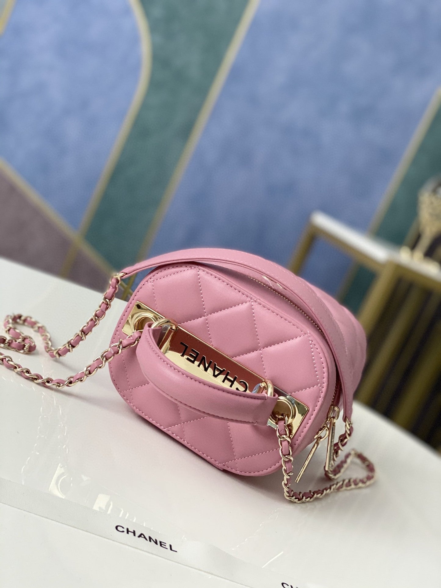 CHLVanity Case Gold Hardware PiNike For Women, Women’s Handbags, Shoulder Bags 9in/24cm