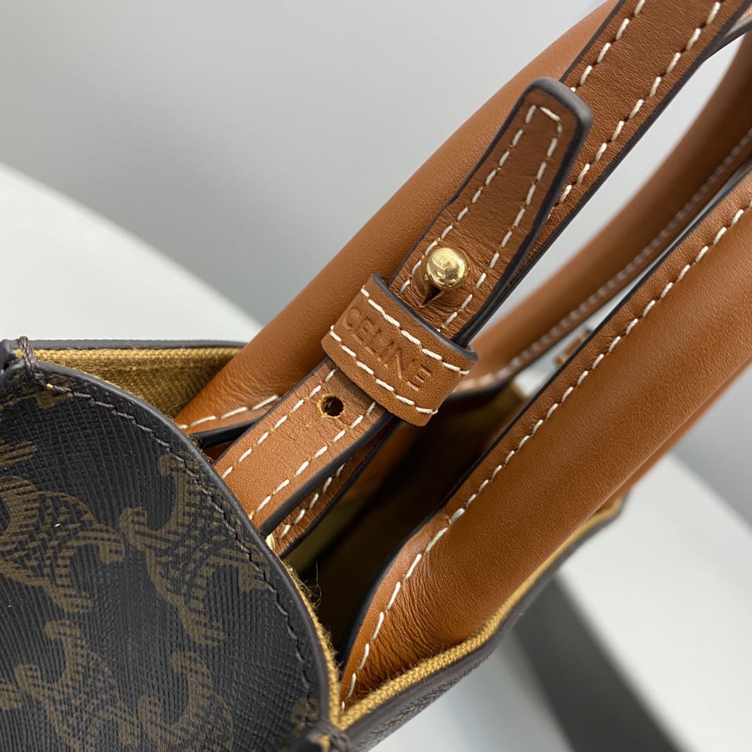 Top Quality Mini Vertical Cabas In Triomphe Canvas Brown For Women 7.2in/18cm 194372BZK.04LU