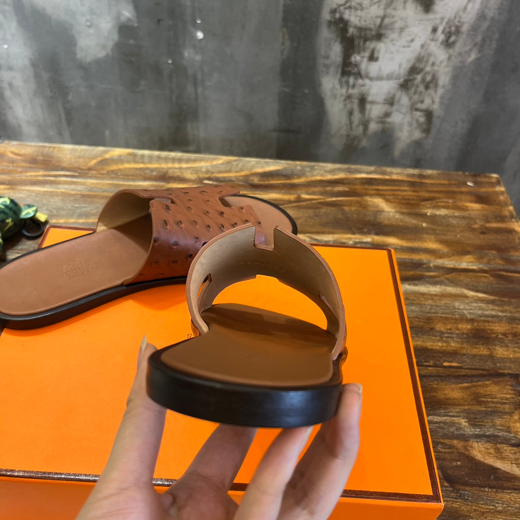 Luxury Shoes - Top QualityS - 023