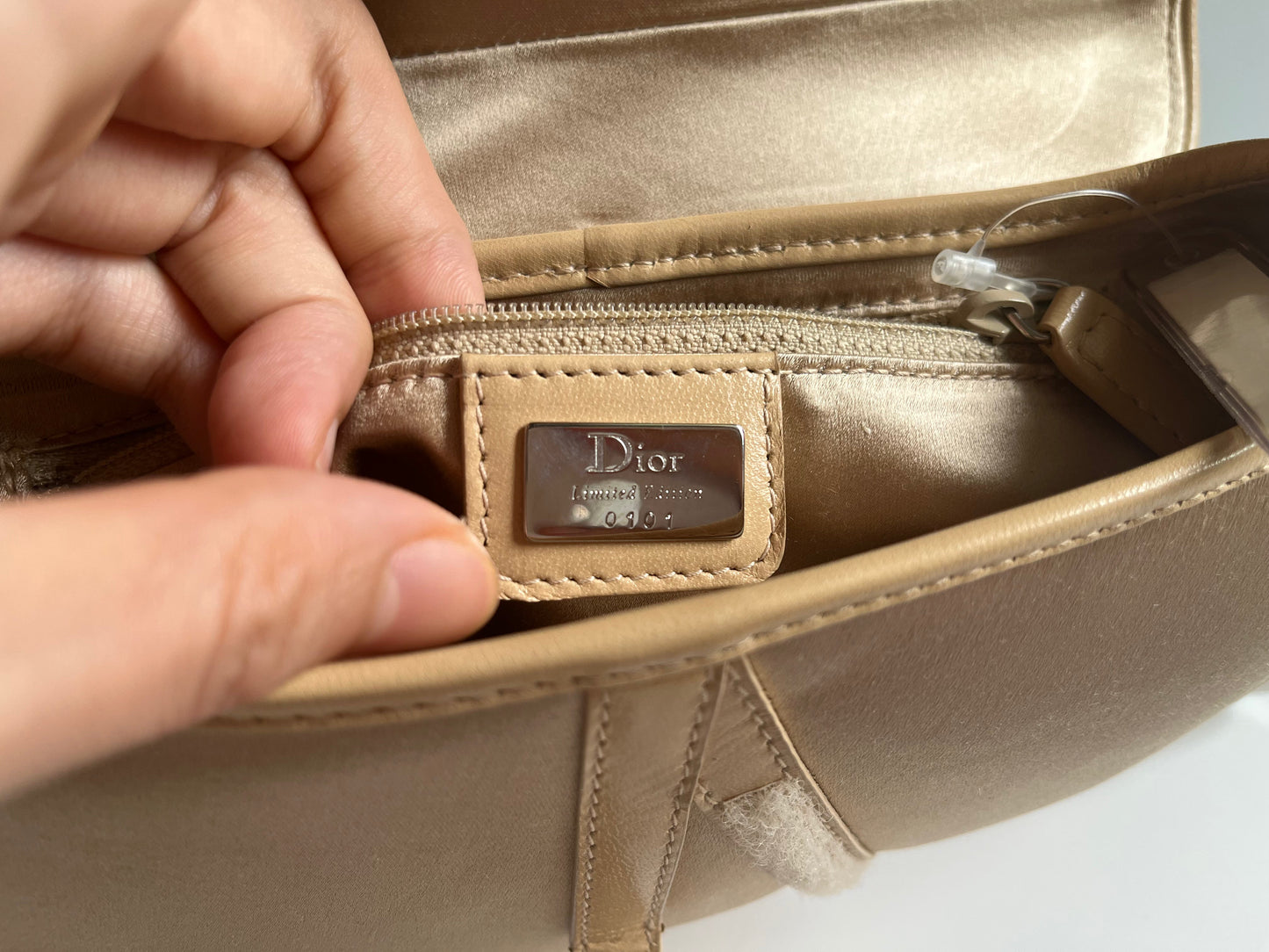 Dior Saddle Mini Silk beige with crystals embellishment