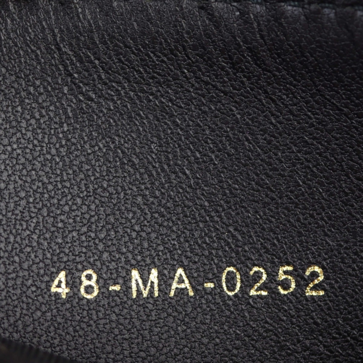 Dior Caro Pouch