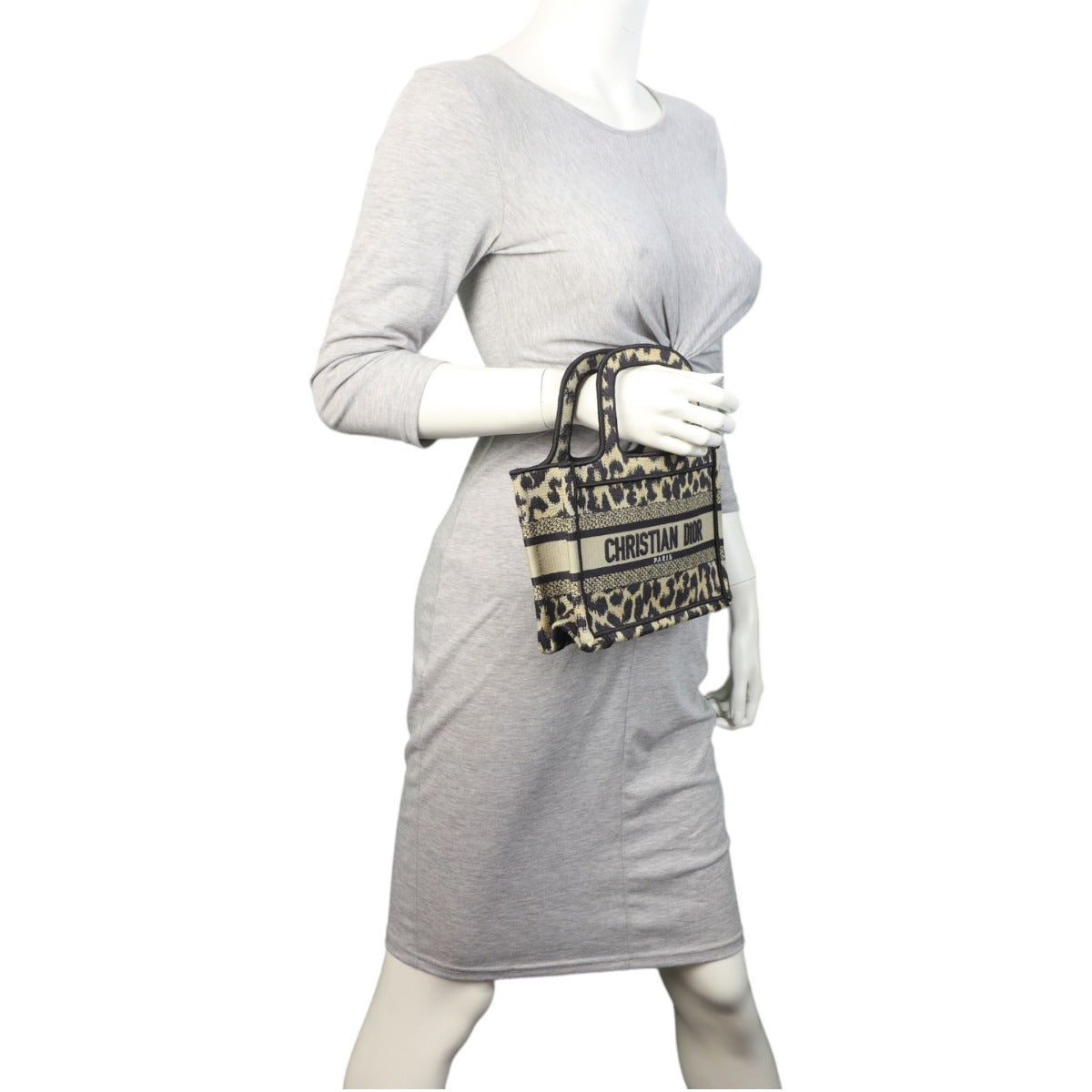 Dior Book Tote Mini