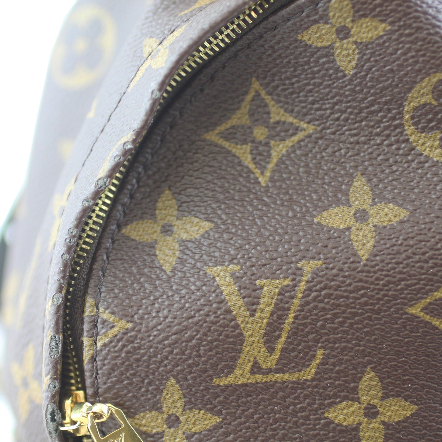 Louis Vuitton Palm Springs Mini Backpack Monogram