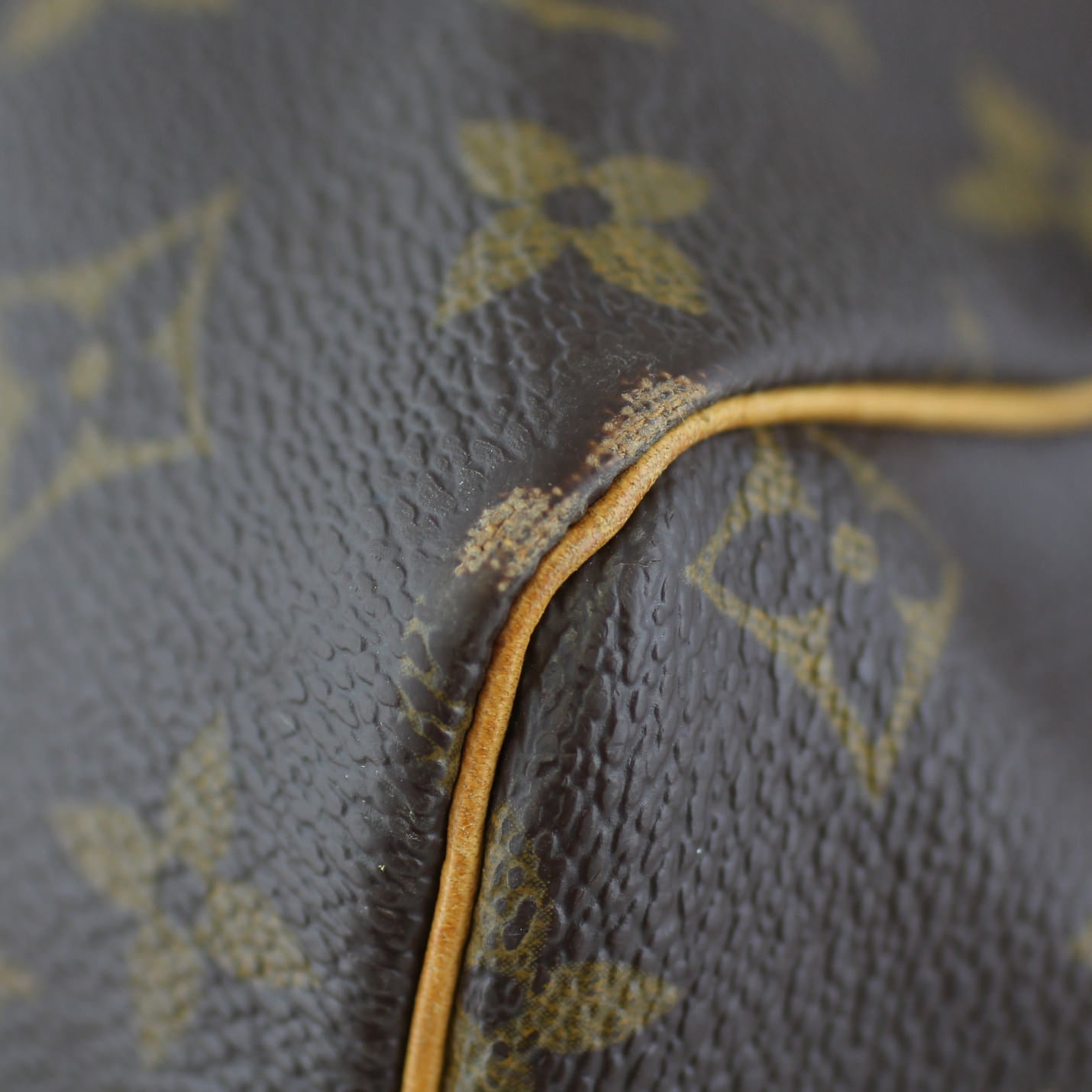Louis Vuitton Speedy 30 Monogram