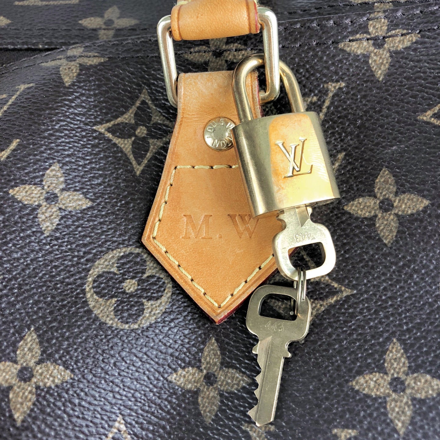 Louis Vuitton Speedy 40 Bandouliere Monogram