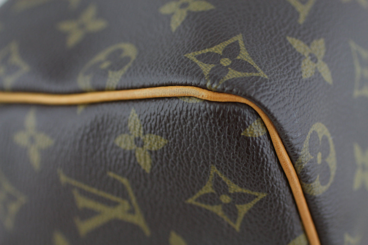 Louis Vuitton Speedy 25 Monogram