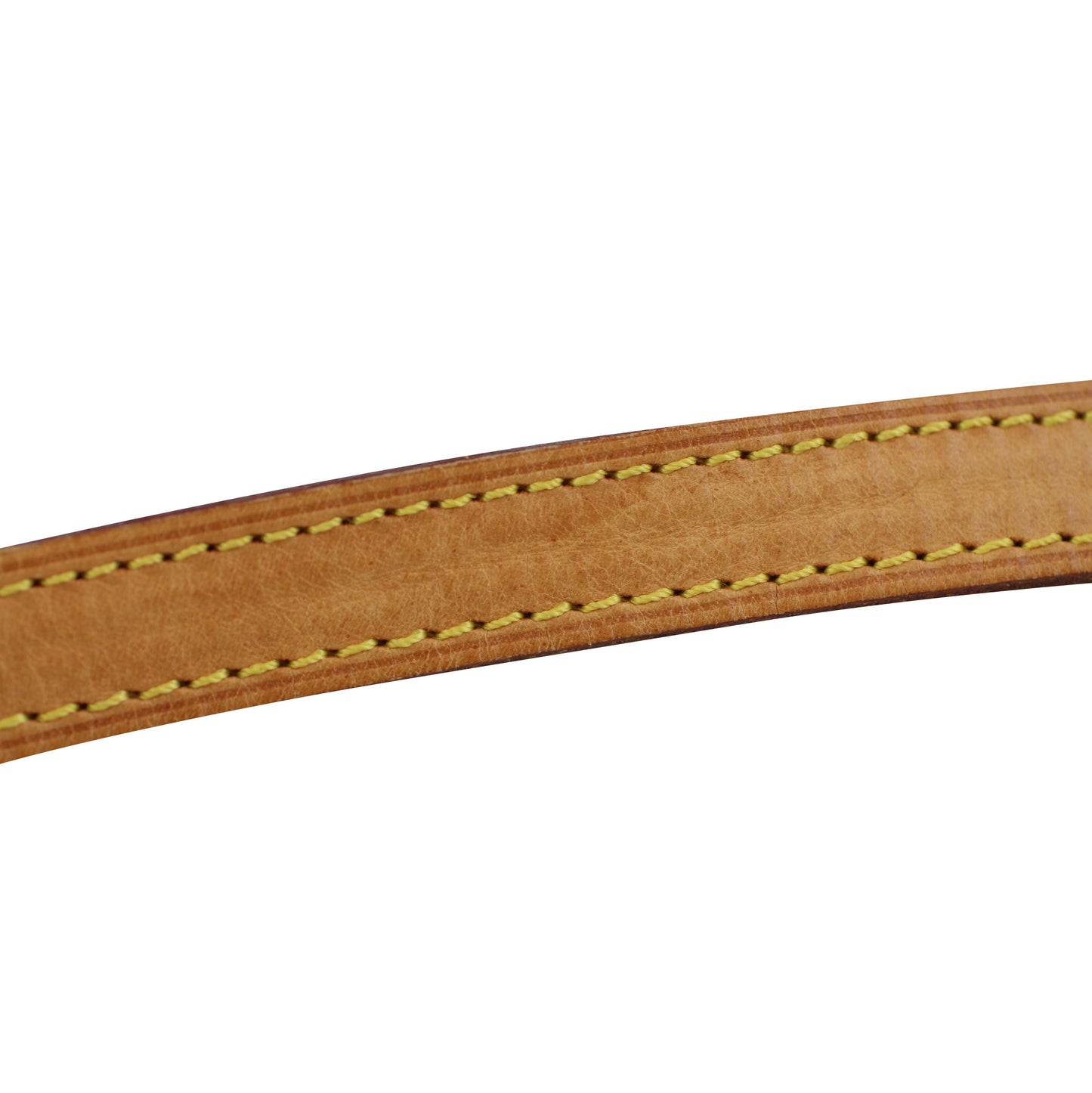 Louis Vuitton Trotteur Monogram