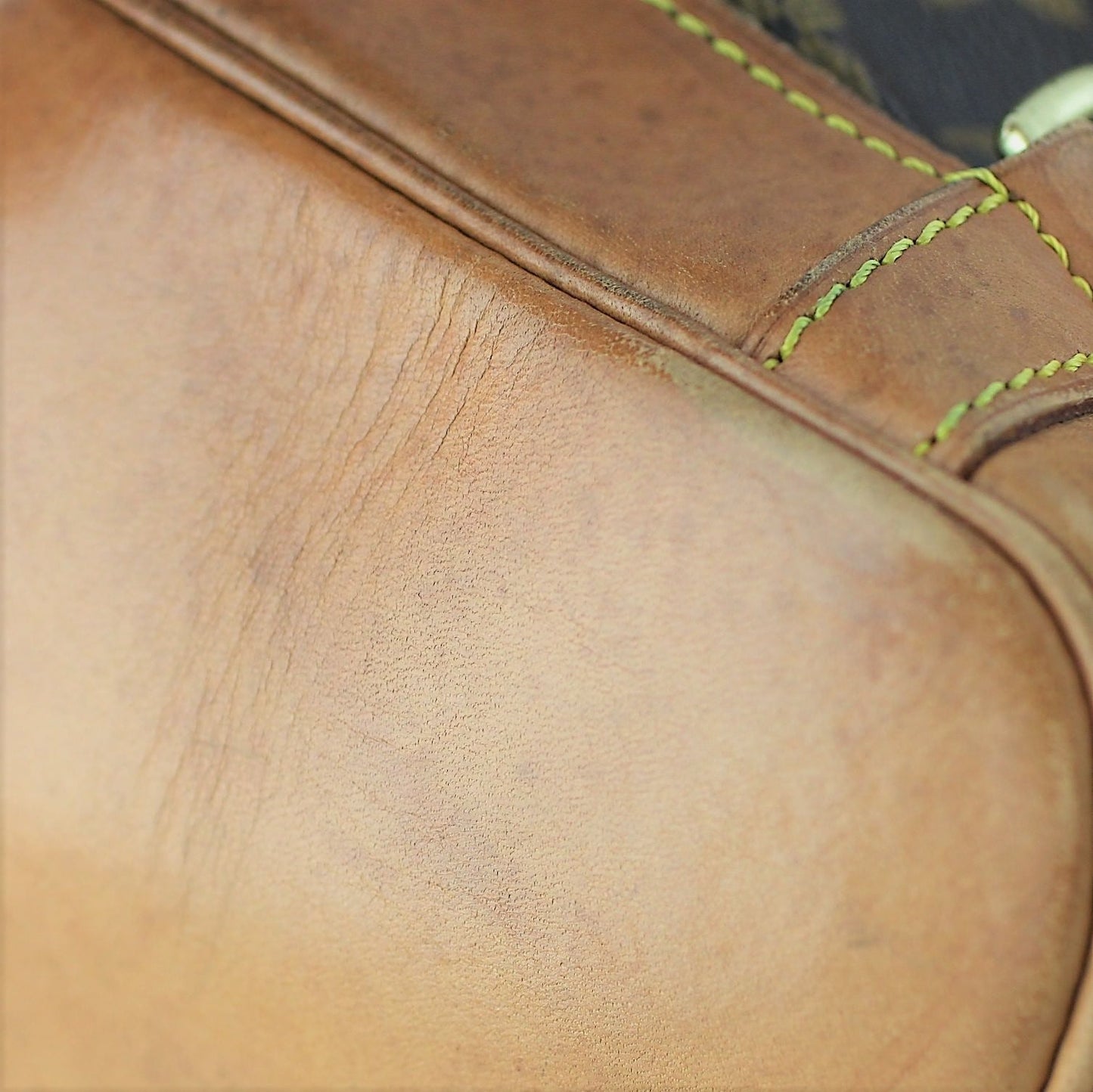 Louis Vuitton Montsouris MM Monogram