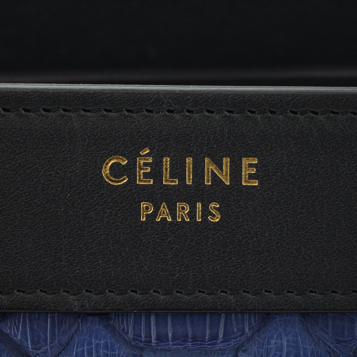 Celine Nano Luggage Tote Python
