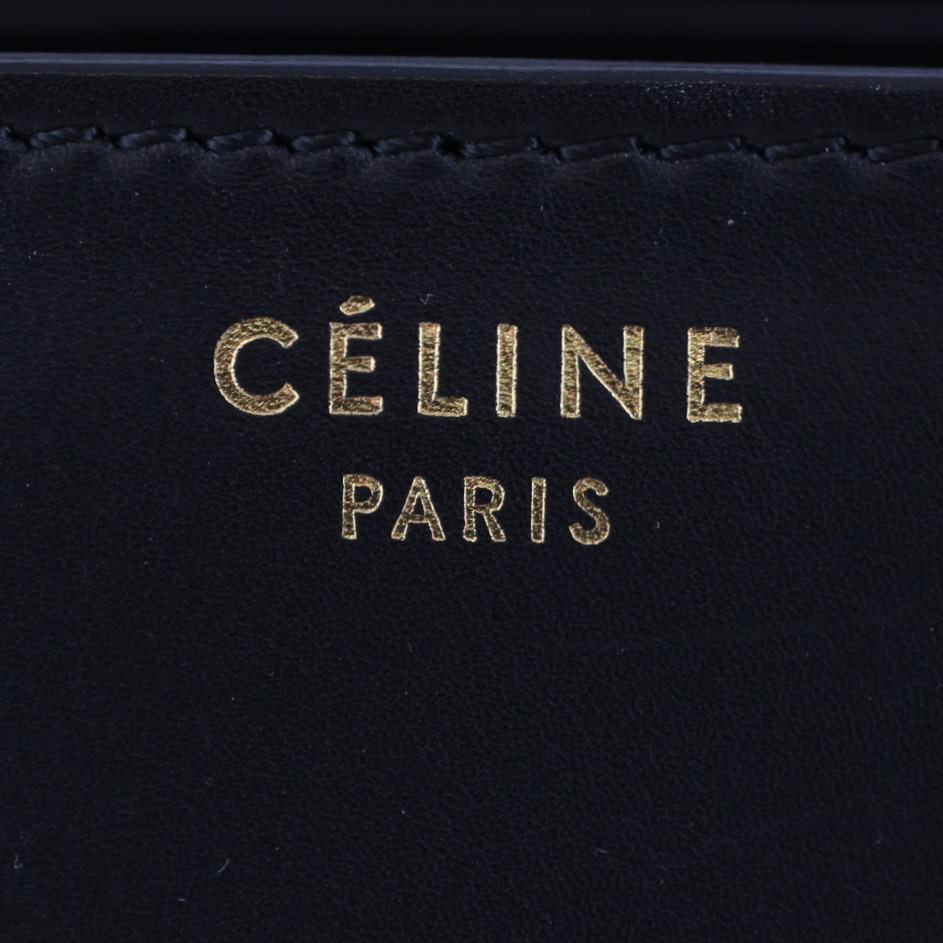Celine Micro Luggage Tote Python