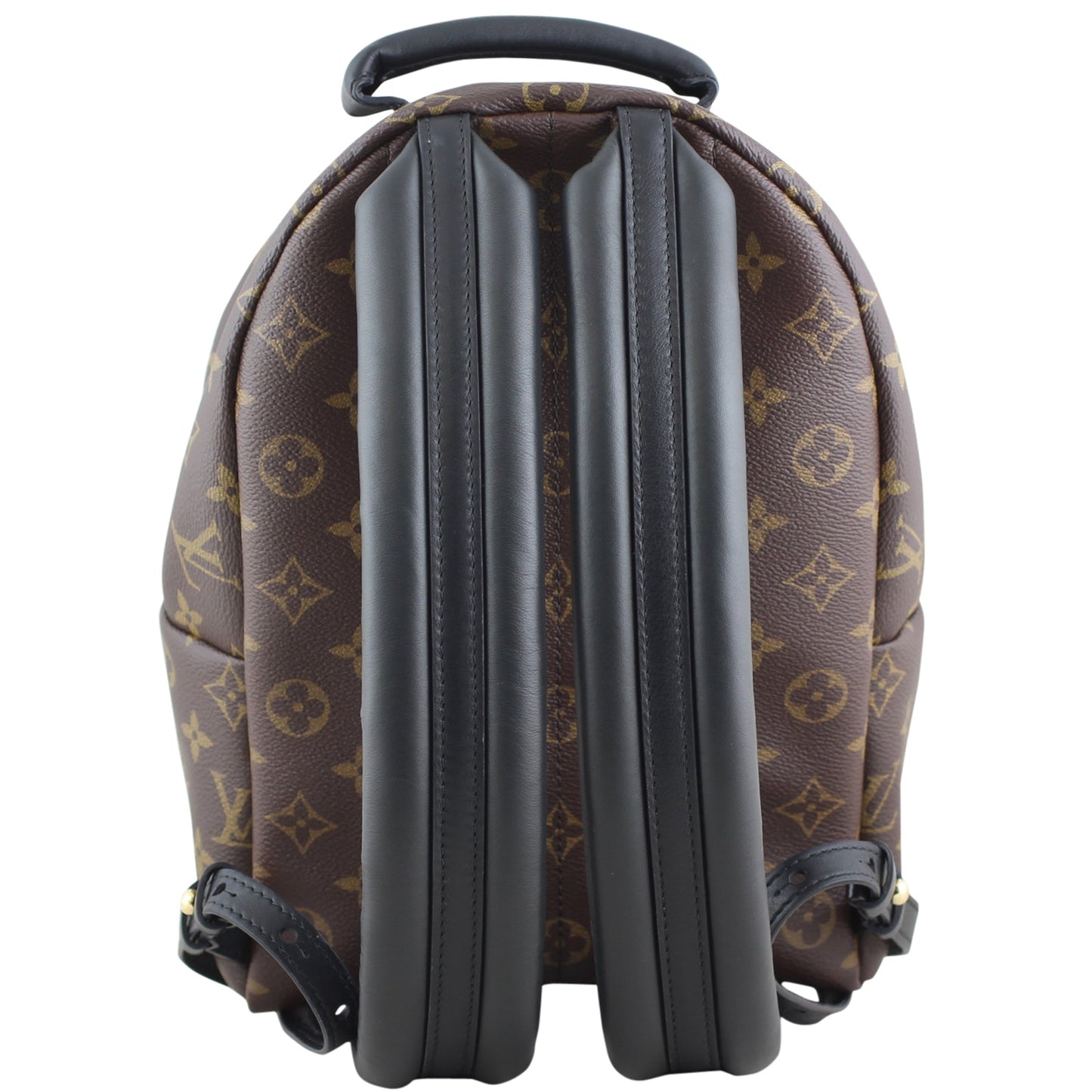Louis Vuitton Palm Springs Backpack PM