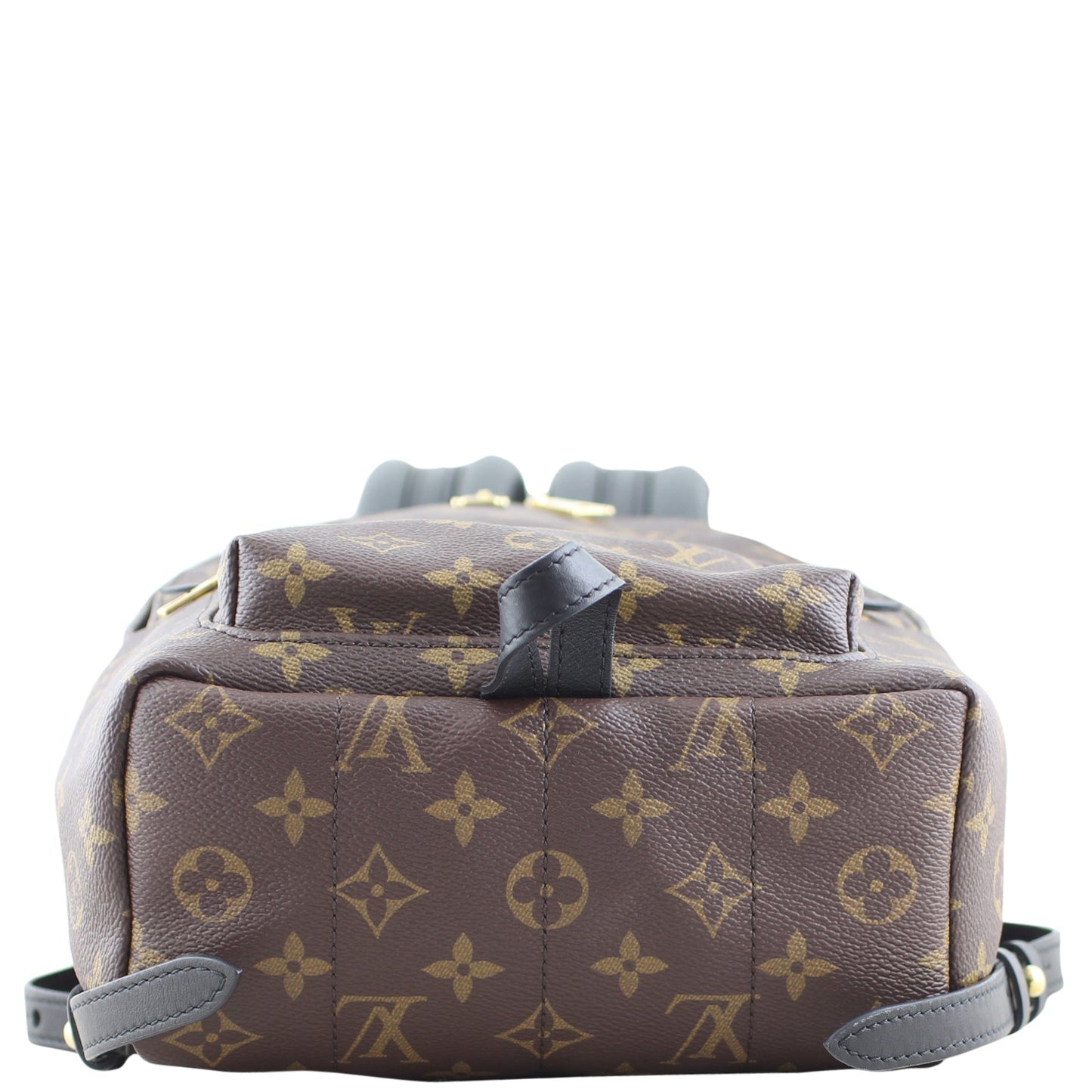 Louis Vuitton Palm Springs Backpack PM