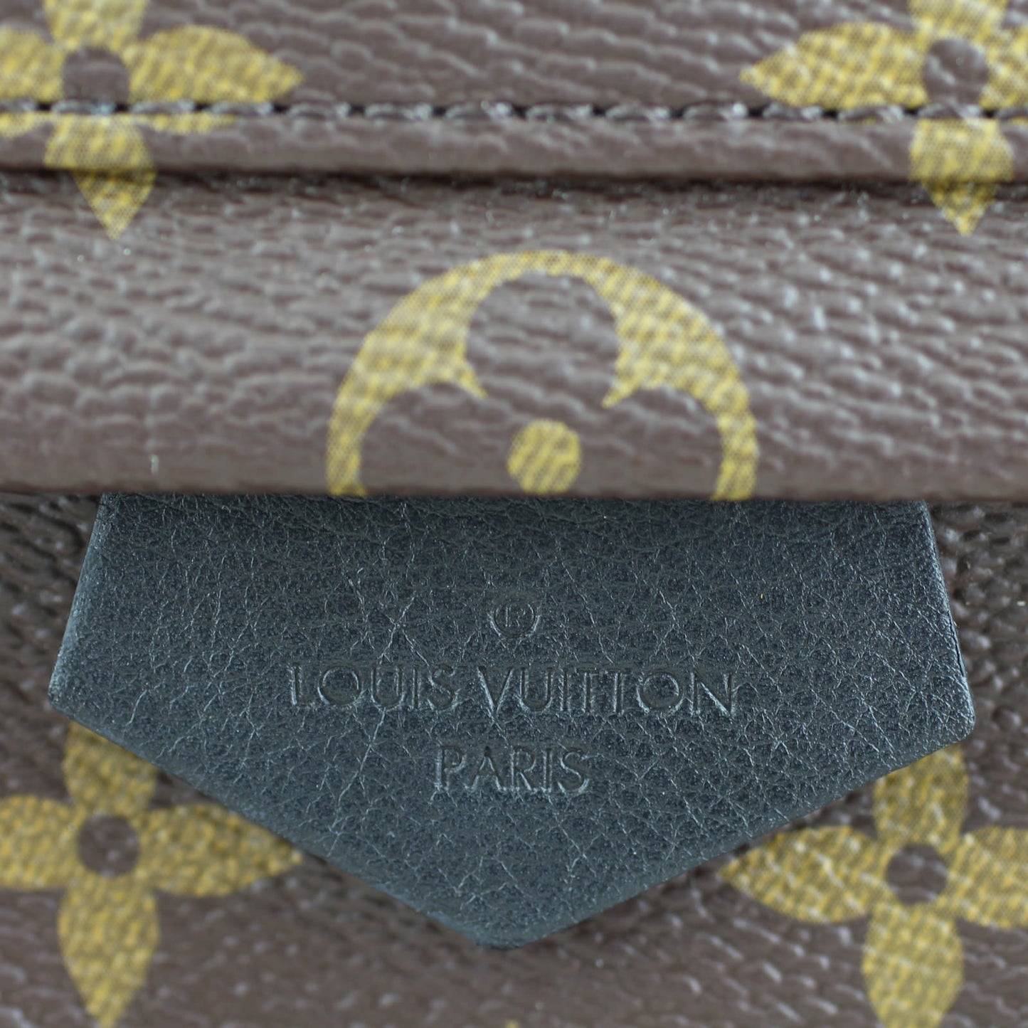 Louis Vuitton Palm Springs Backpack PM