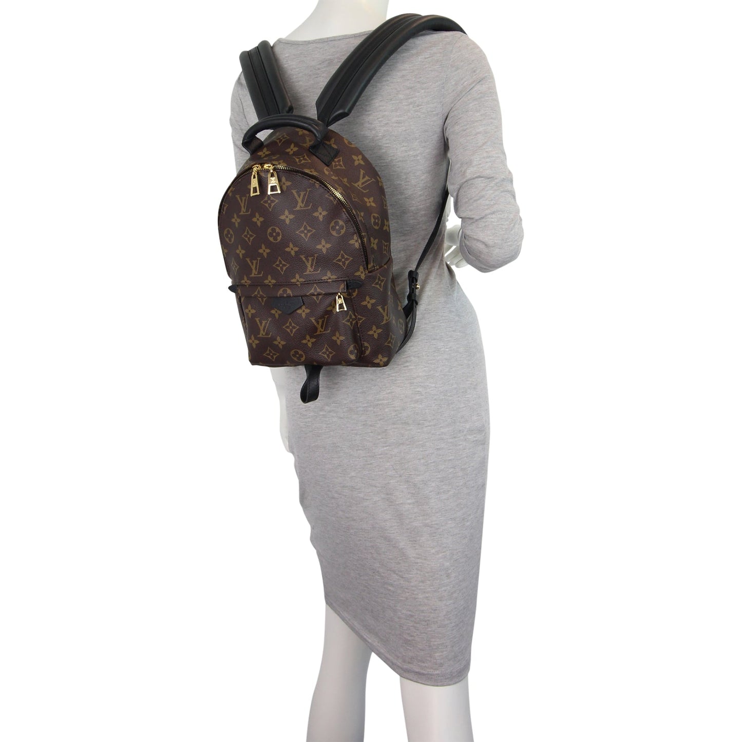 Louis Vuitton Palm Springs Backpack PM