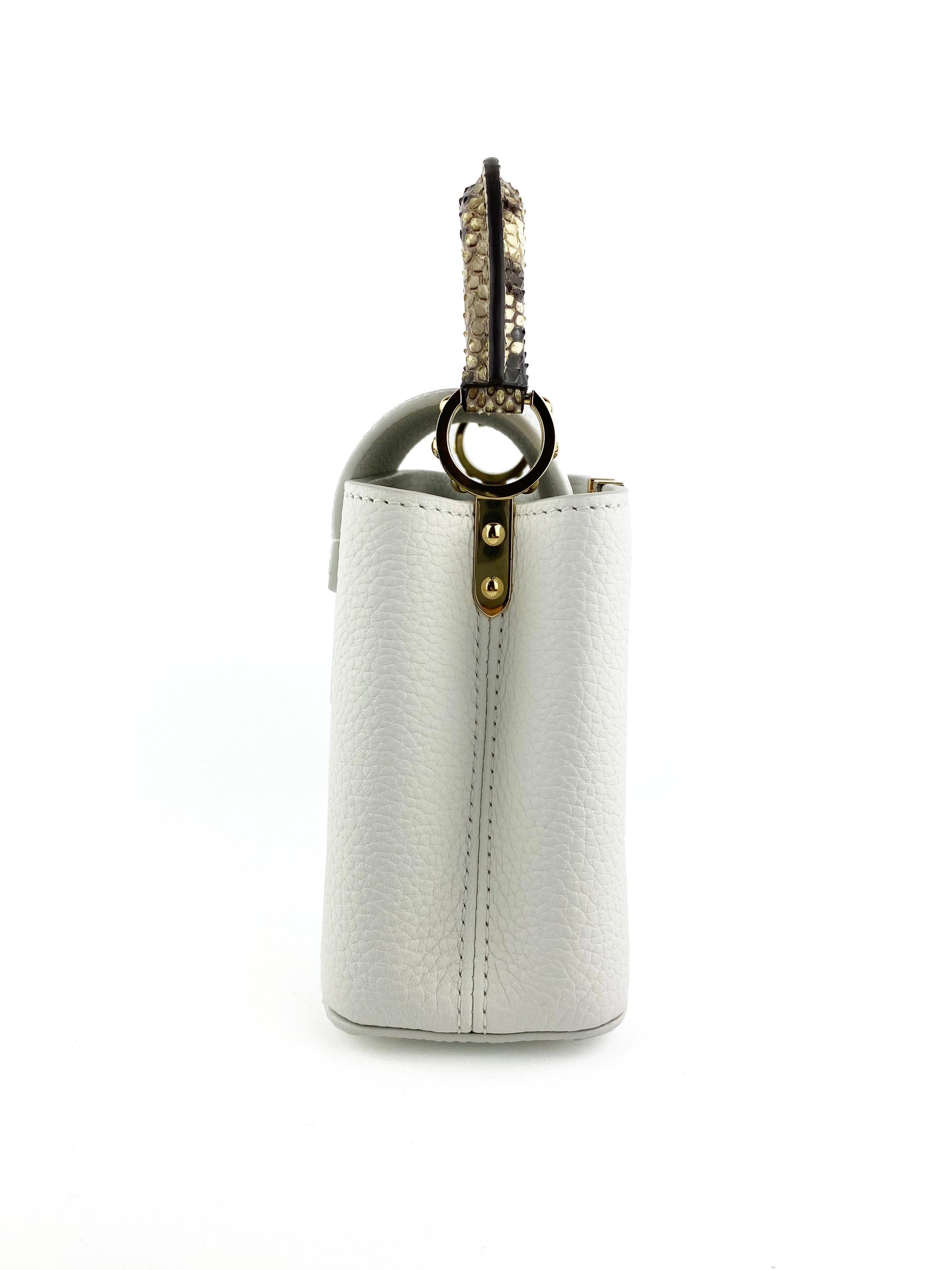Louis Vuitton Python Mini Capucines Bag