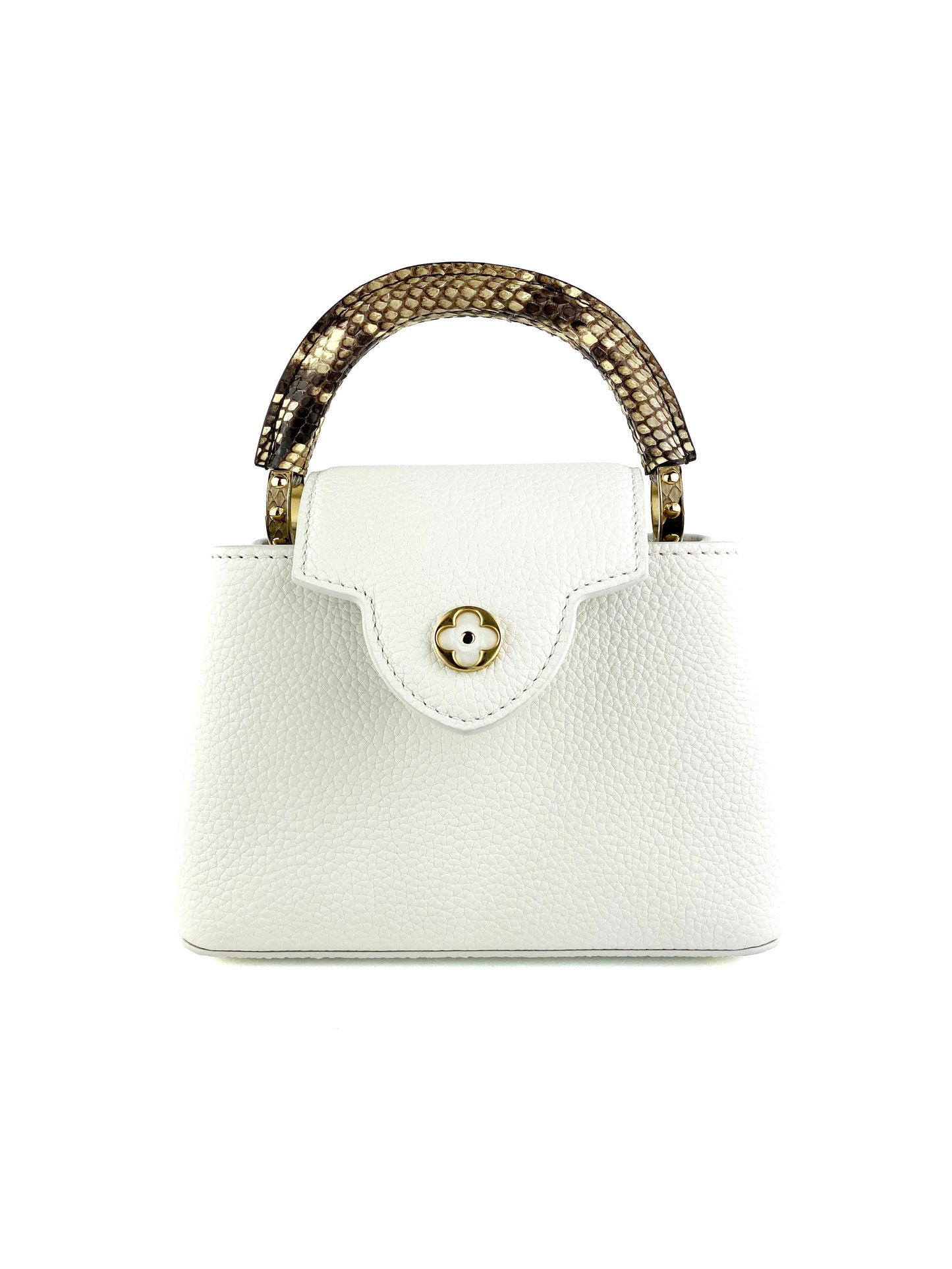 Louis Vuitton Python Mini Capucines Bag