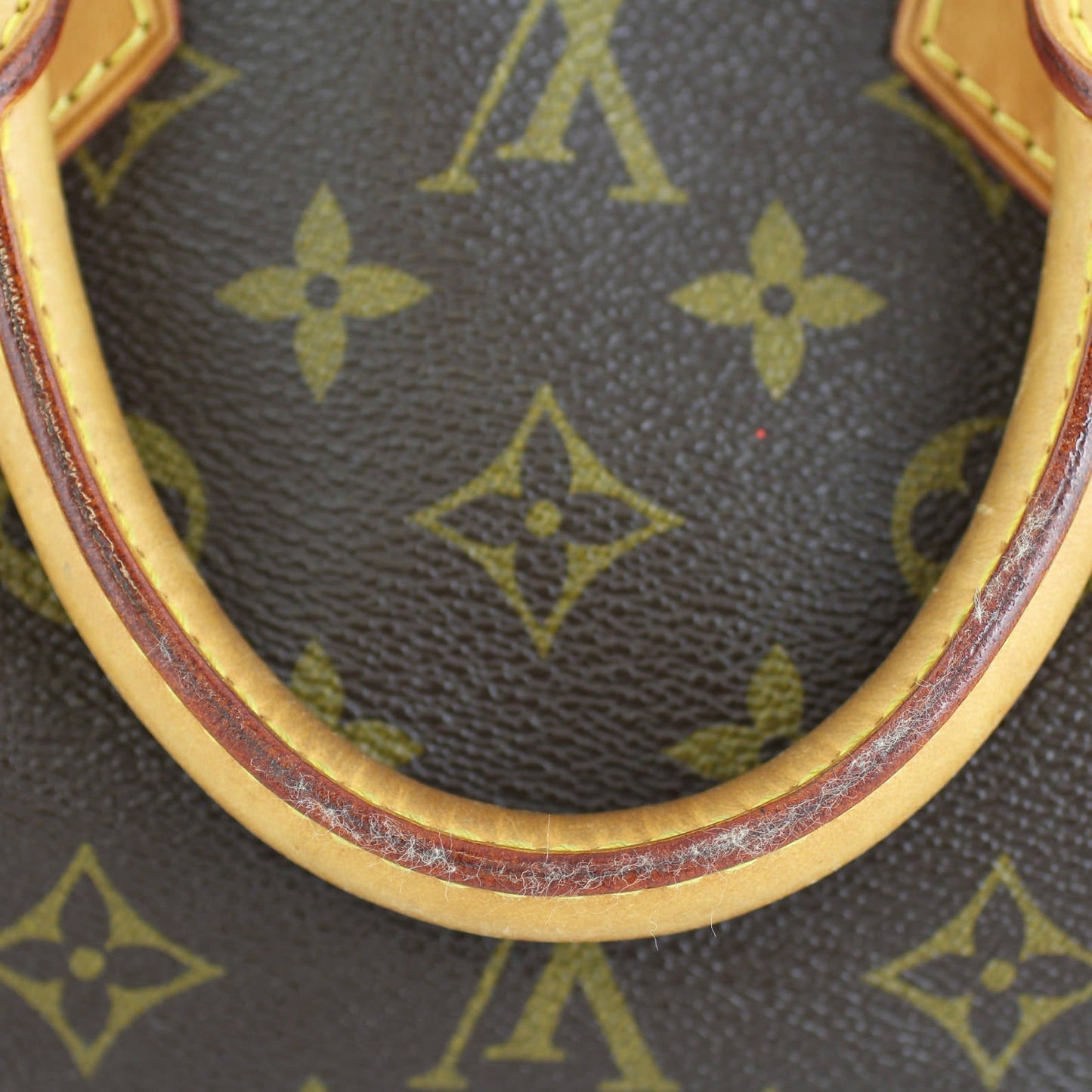 Louis Vuitton Speedy 25 Monogram